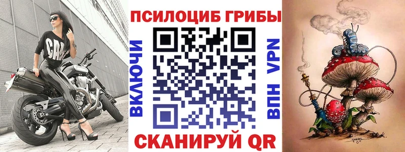 закладки  Богородск  Псилоцибиновые грибы ЛСД 